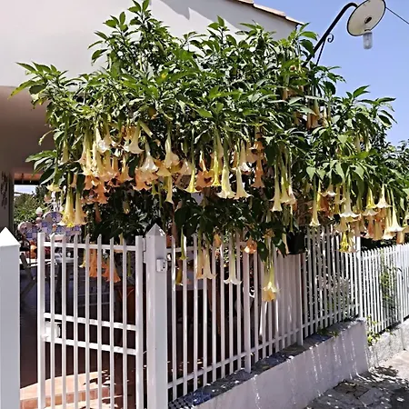 Casa Vacanze Rubino Trabia